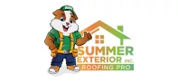 DSD Partner 2